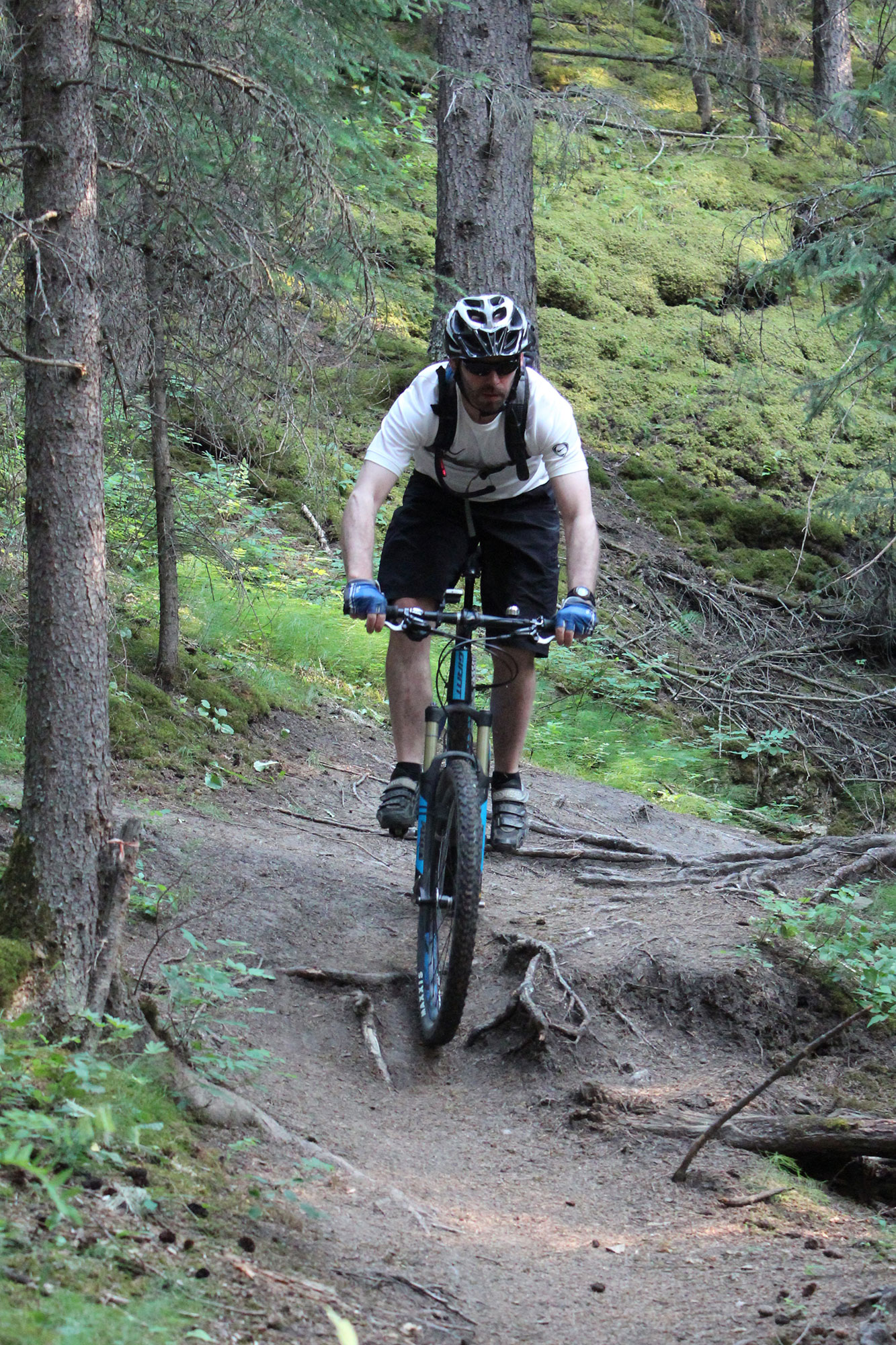 Electrotherapy Banff Sport Medicine