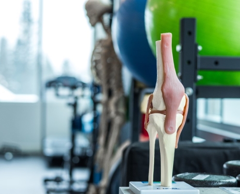 Physiotherapy with Strength and Conditioning