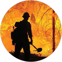 Dominique Gagnon profile picture